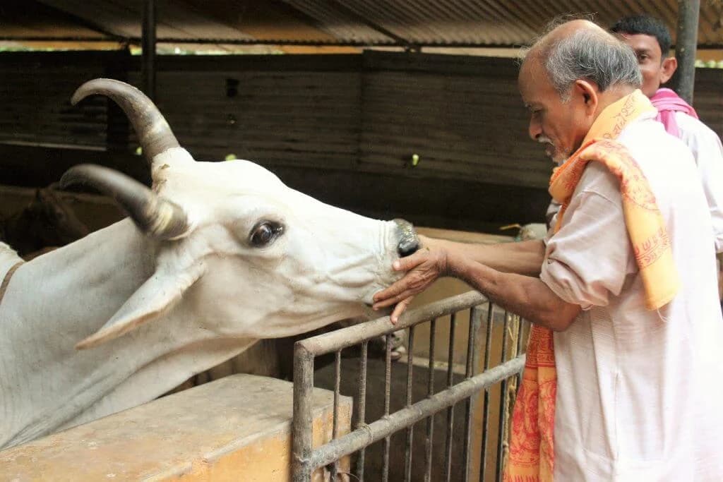 Gau Seva
